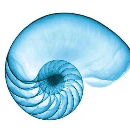 inner